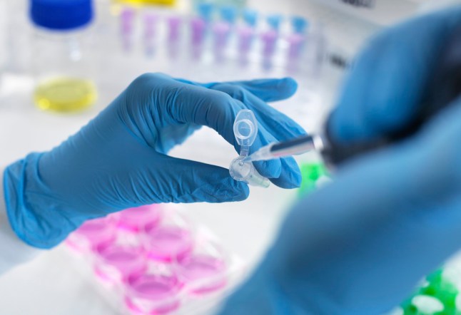 Scientists hands putting a liquid into a test tube with gloves on in a laboratory setting.