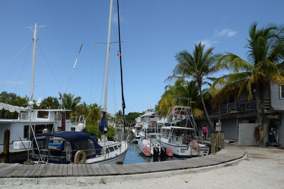 Yachts and boats docked at Stuart Cove's Aqua Adventures in the Bahamas.