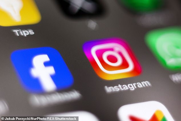 Studies have shown that excessive social media impacts sleep, increases rates of poor sleep, and causes academic performance to fall (stock image)
