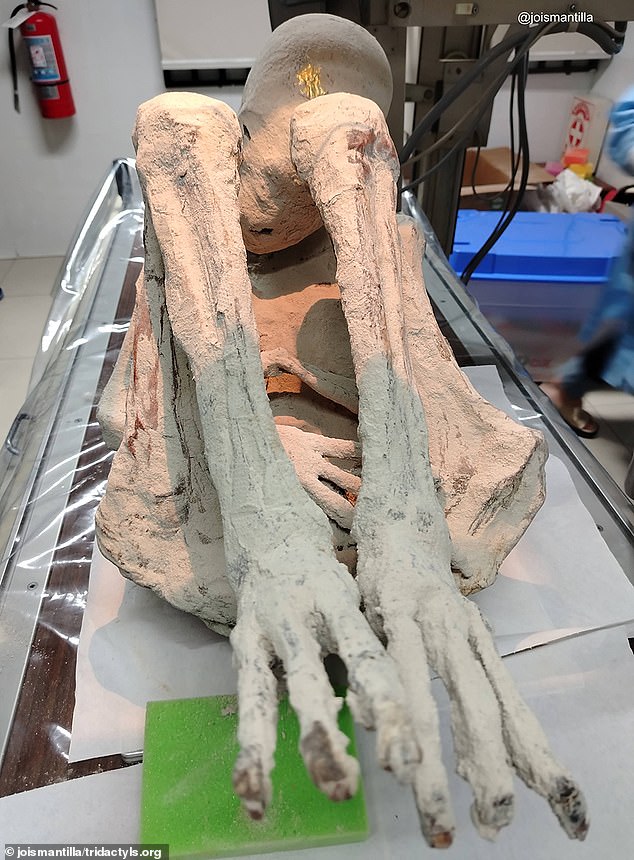 Experts discovered a fetus inside a mummy named Montserrat while analyzing the remains at a radiology center in Lima