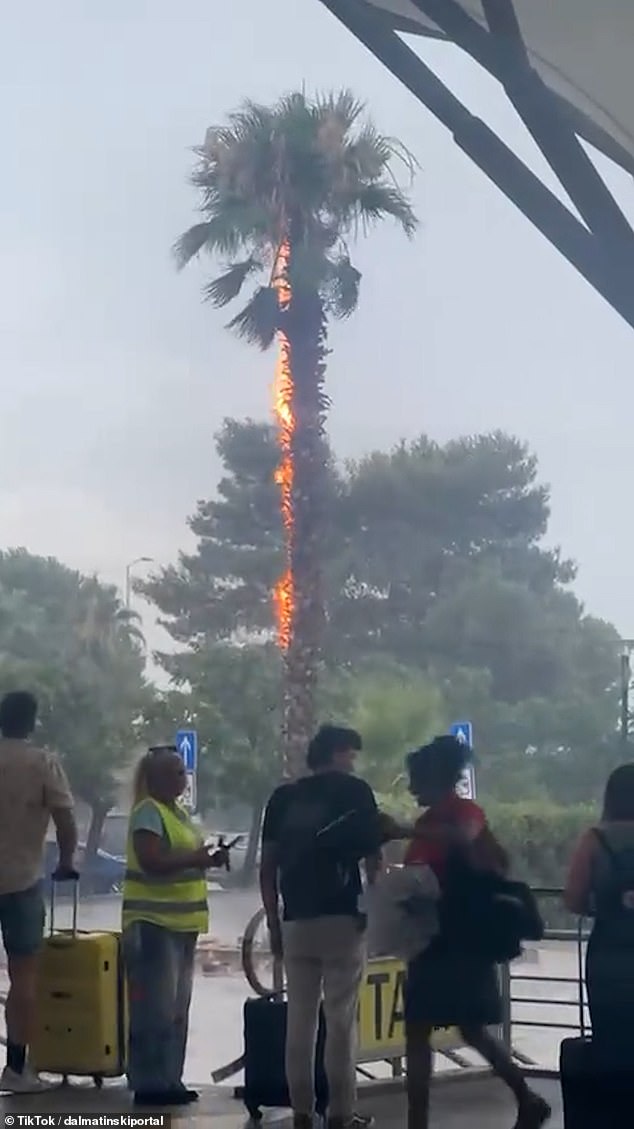 A palm tree burns at Split Airport, in Croatia, after being struck by lightning during a major storm followed by heavy rain, hail and strong winds