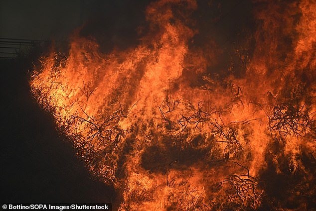 General view of the flames of the fire engulfing the vegetation of the hills of Marseille