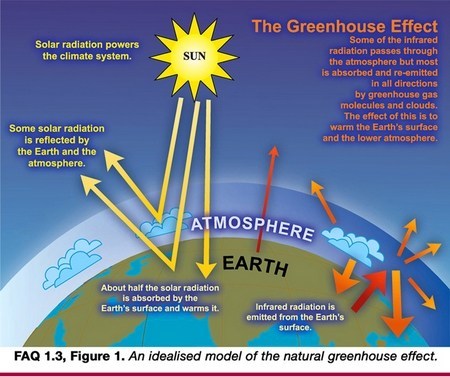 Top Aussie Scientist Reveals Un Ipcc Greenhouse Gas Errors Hasslefree Allsort