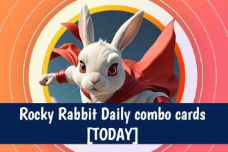 rocky rabbit daily combo today