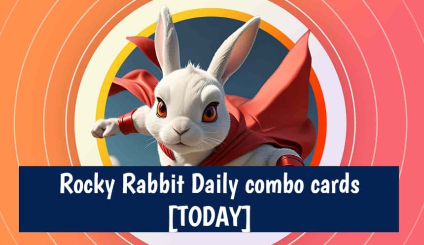 rocky rabbit daily combo today