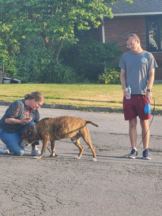 PIC FROM Kennedy News and Media (PICTURED: KELLY WARUNEK, 48, FROM DUPONT, PENNSYLVANIA, WITH KEVIN AND DOG MELLOW ON HIS FINAL WALK AFTER HE WAS DIAGNOSED WITH CANCER) More than 100 people joined a dying dog on his 'final walk' around the neighbourhood after his owner sent out a heartbreaking invite out that left many in tears. Kelly Warunek was given a note by a friend last week from a dog owner called Kevin asking neighbours to join him on his final walk as the pooch had been diagnosed with terminal cancer. The 48-year-old, from Dupont, Pennsylvania, US, says she immediately burst into tears and took to Facebook to spread the word in the hopes that the whole neighbourhood would turn up to say goodbye to the Pitbull-mix. DISCLAIMER: While Kennedy News and Media uses its best endeavours to establish the copyright and authenticity of all pictures supplied, it accepts no liability for any damage, loss or legal action caused by the use of images supplied and the publication of images is solely at your discretion. SEE KENNEDY NEWS COPY - 0161 697 4266