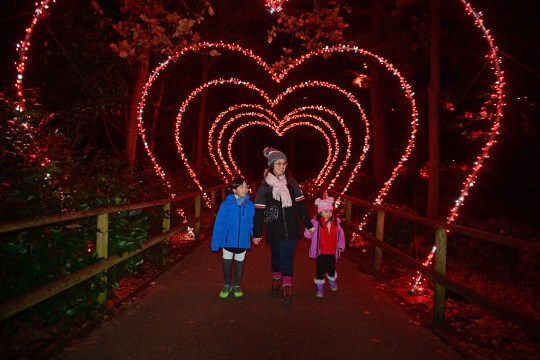 The Christmas Lights at Leeds Castle 