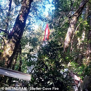 The life-saving parachute was still in the tree canopy when they reached the scene