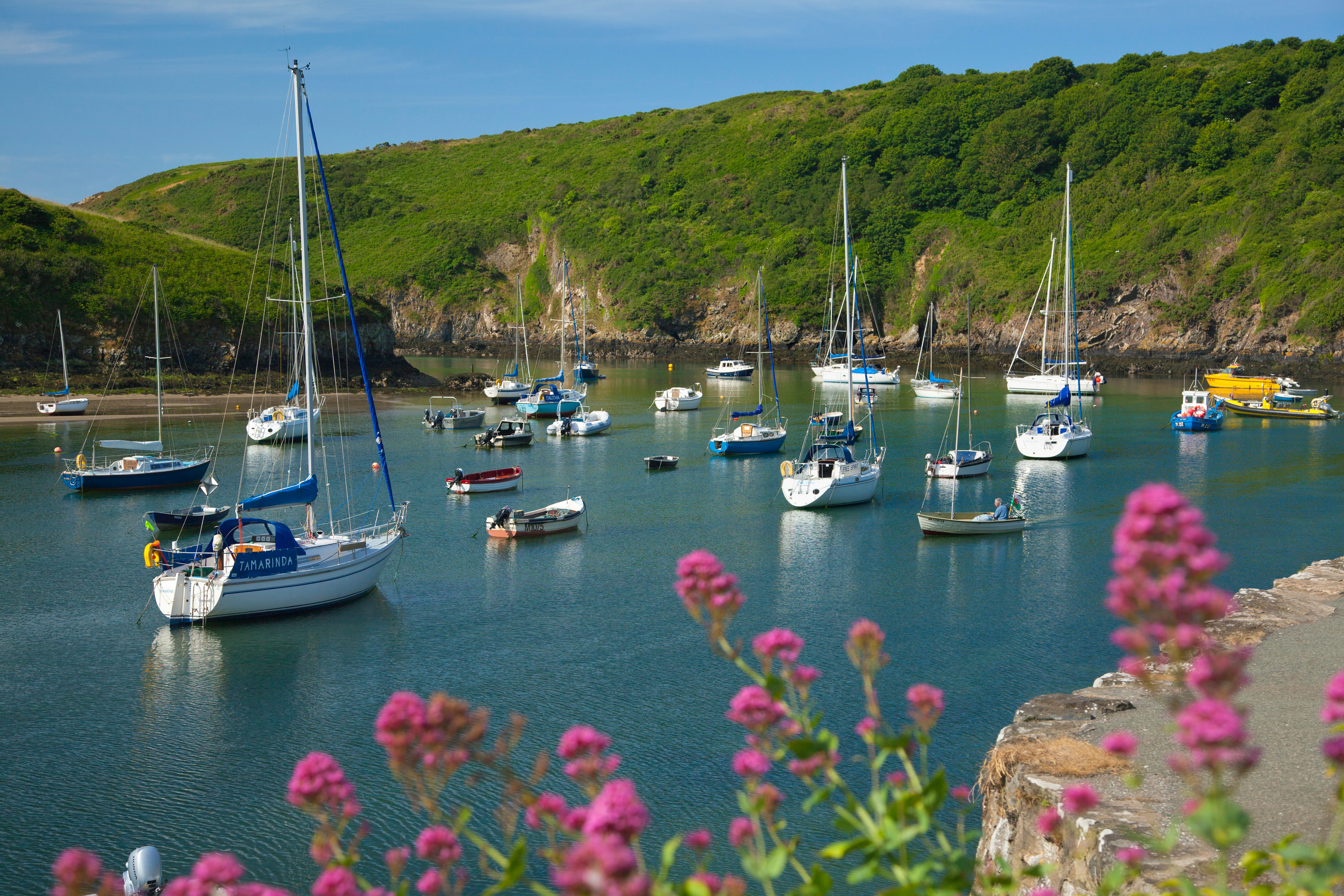 Fresh seafood from the harbour is served in the village's restaurants