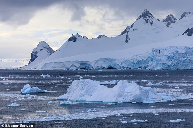Sea ice plays an important role maintaining the Earth's energy balance while helping keep polar regions cool due to its ability to reflect more sunlight back to space. Pictured, sea ice in the water off Cuverville Island in the Antarctic