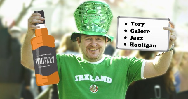 A smiling man in a green t-shirt emblazoned with 'Ireland' in white letters, wearing a tall green leprechaun hat, as he holds a bottle of brown whiskey and a whiteboard saying 'Tory, galore, jazz and hooligan'. Paddy's Day - English words/slang you didn't know were Irish