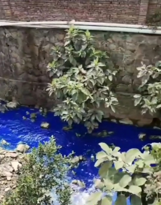 A river's water turns blue in Dongguan, Guangdong, China, undated. A large amount of blue sewage was discharged from the river. (AsiaWire)