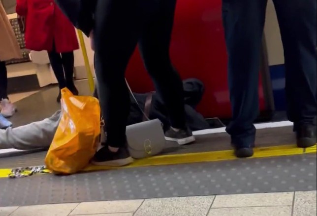 Dog rescued from under tube train Credit @londonboyonline