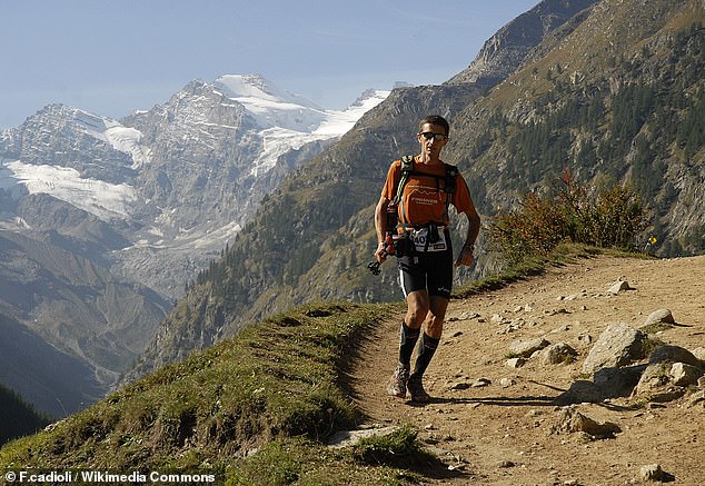 Professor Millet told MailOnline he came second in the Tor des Géants (pictured) - a 205 mile (330km) race - by running 45 minutes in his lunch breaks every day and training longer on the weekends