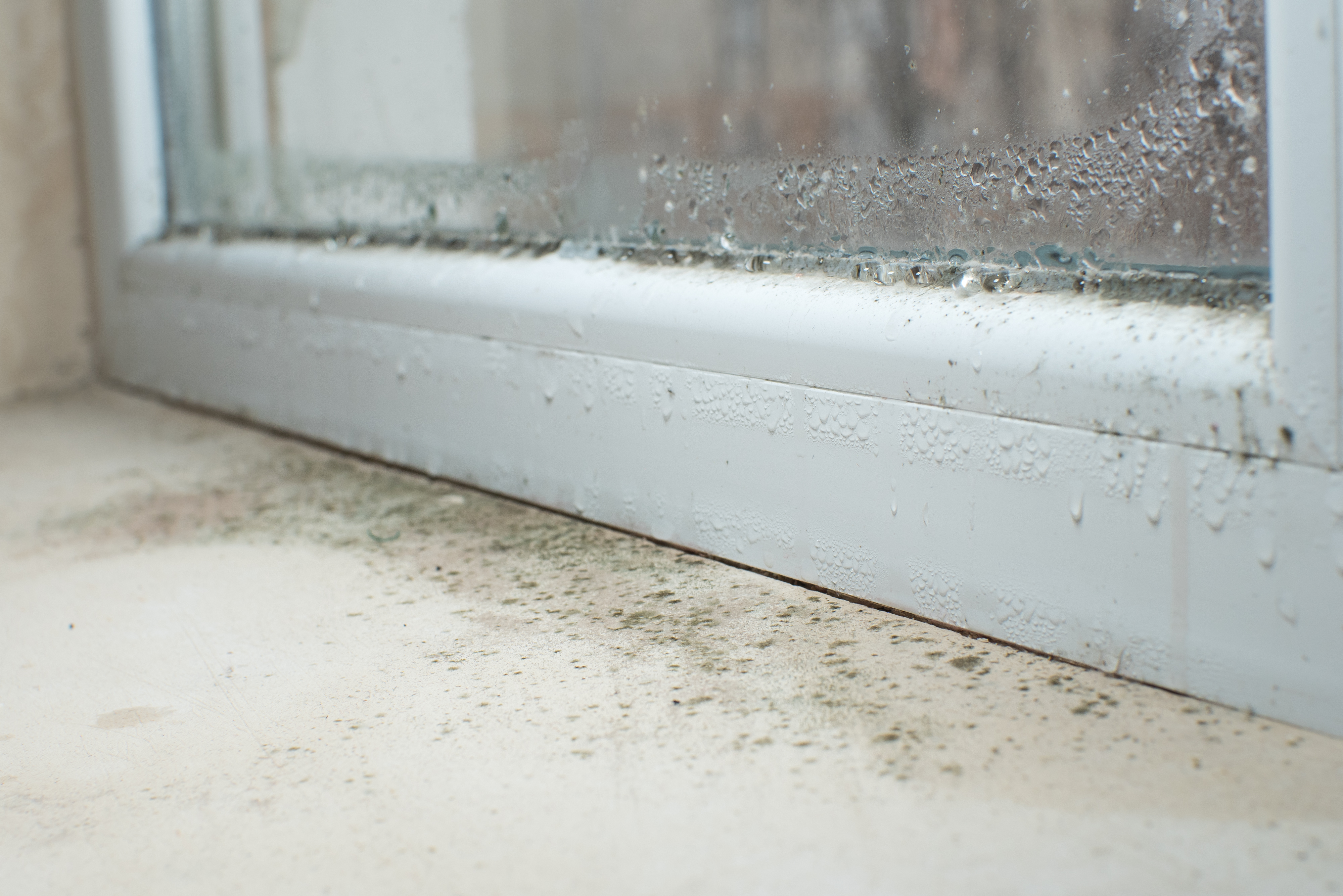 Condensation and moist air allows mould to spread
