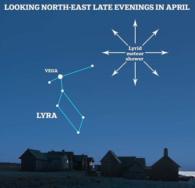 The Lyrids will be visible all across the sky, although they appear to originate from the constellation of Lyra, which is where they get their name