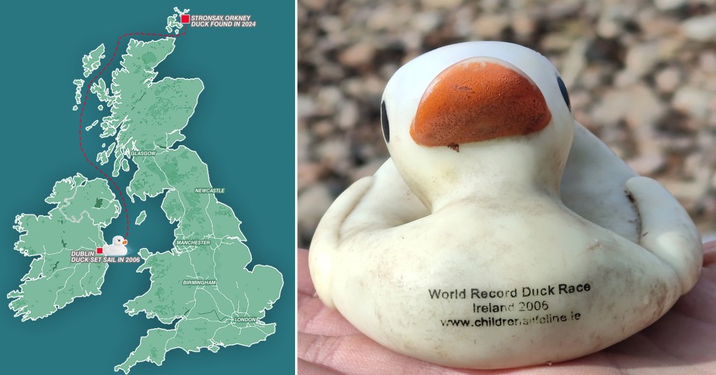 Left: Map showing duck's journey
Right: the duck