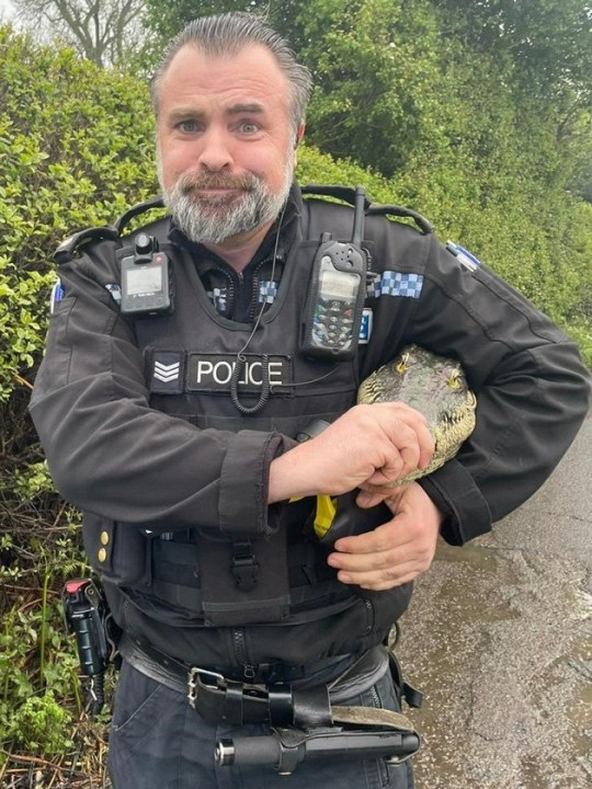 Police officer with crocodile head.