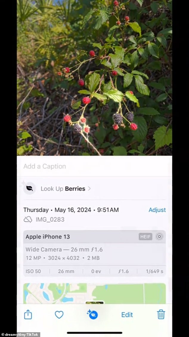 iPhone users can identify a plant or animal by taking a photo of it on the device’s camera, click the info button after opening the photo, and press Look Up
