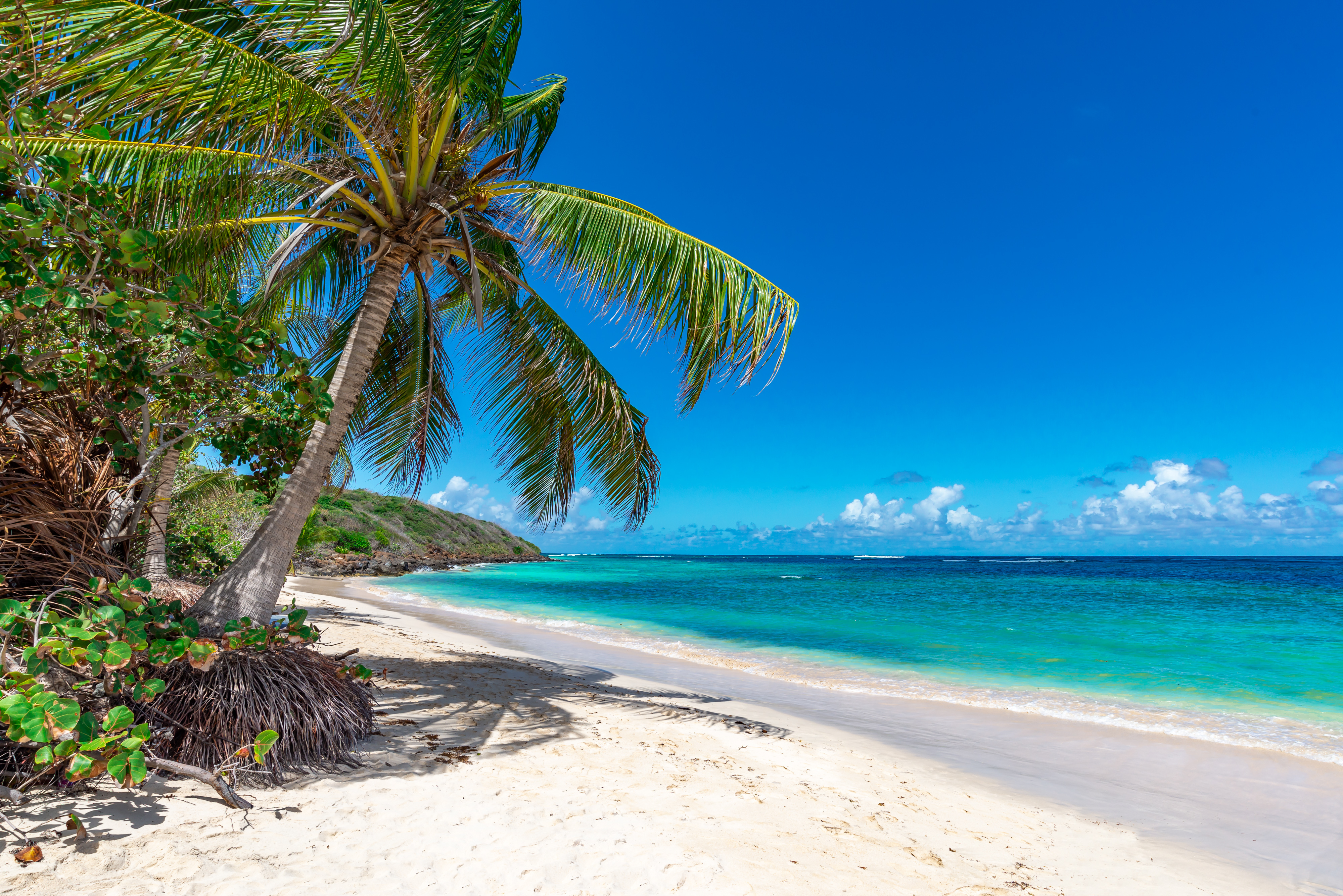 The Caribbean will be perfect for sun lovers all year round