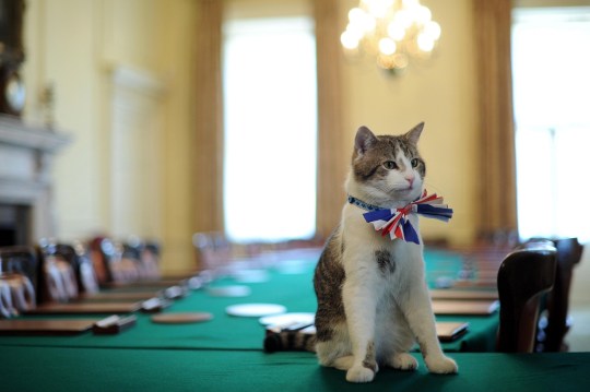 Larry wore a Union Jack bowtie for the Downing Street street party in 2011 