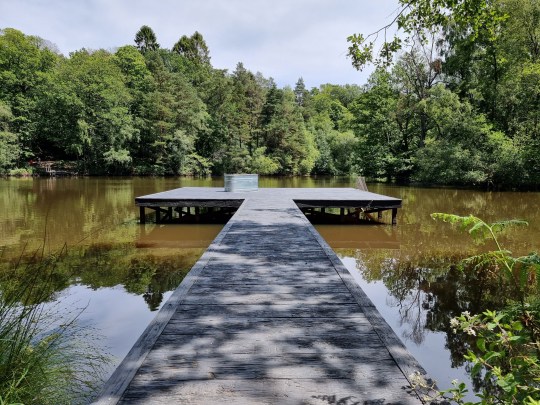 A wooden jetty, with a metal basin, on a brown lake with the banks completely concealed by trees.