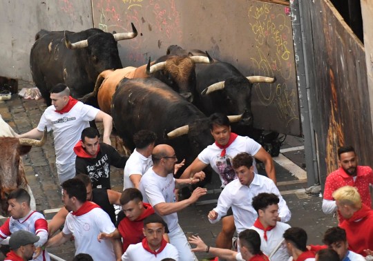 Pamplona’s controversial traditional festival sees six fighting bulls set loose on the Spanish city’s narrow streets (Picture: AFP)