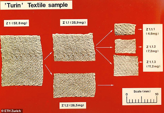 The 1988 research was conducted in three laboratories: The University of Arizona, Zürich in Switzerland and Oxford University in the UK. Each lab received a strip from the original piece cut, which were then reduced to smaller sizes for the research