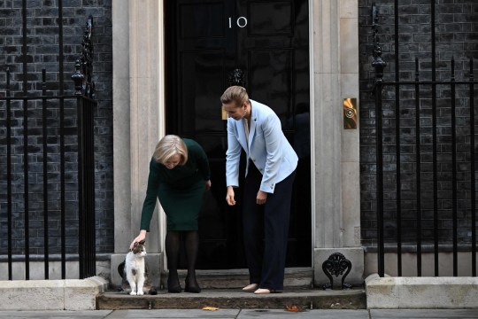 Just before Larry walks off when Liz Truss tries to introduce him to the Danish PM