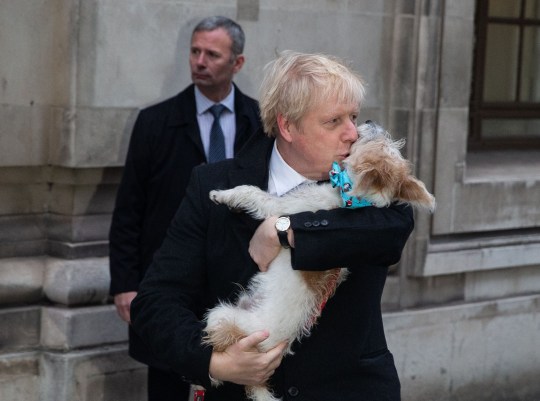 British Prime Minister, Boris Johnson, kissing his dog, Dilyn, a Jack Russell cross.