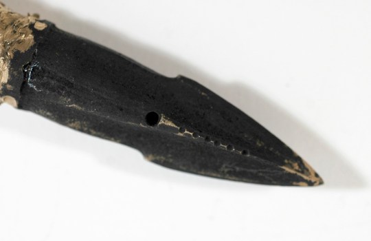 The tip of the bomb lance fragment, patented in 1879, that was removed from the neck of a bowhead whale captured at Barrow, Alaska, in May 2007. The body of the bomb lance was not recovered. The shiny scars are the result of a chain saw cut. (AP Photo/New Bedford Whaling Museum) **NO SALES**