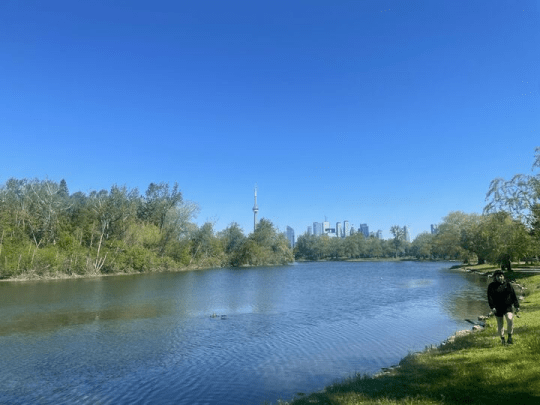 the lake at Hanlan's point 