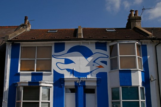 Brighton & Hove Albion Fan Paints House to Celebrate Promotion to the Premier League