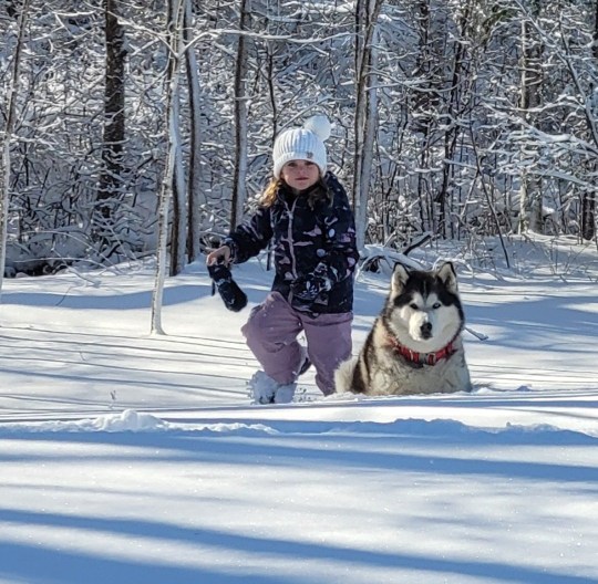 Olivia Myers, 7, walks in snow with the husky dog Gunnar next to her