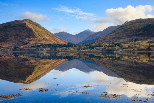 RHF4C2 The Arrochar Alps in the Loch Lomond and Trossachs National Park reflected in Loch Fyne.