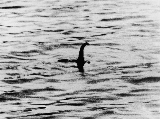 A view of the Loch Ness Monster.