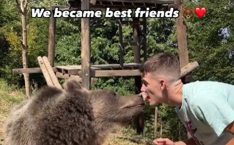 Stefan Jankovich feeds a bear mouth-to-mouth.