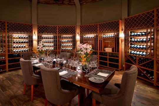 The spectacular wine cellar of Barrique