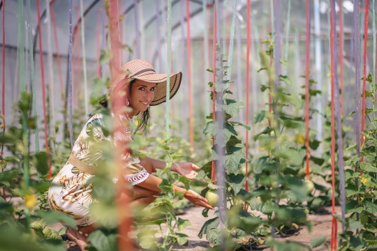 A short boat ride away, Udhdhoo farm island offers guests a chance to witness Sun Siyam Iru Veli's commitment to sustainability firsthand 