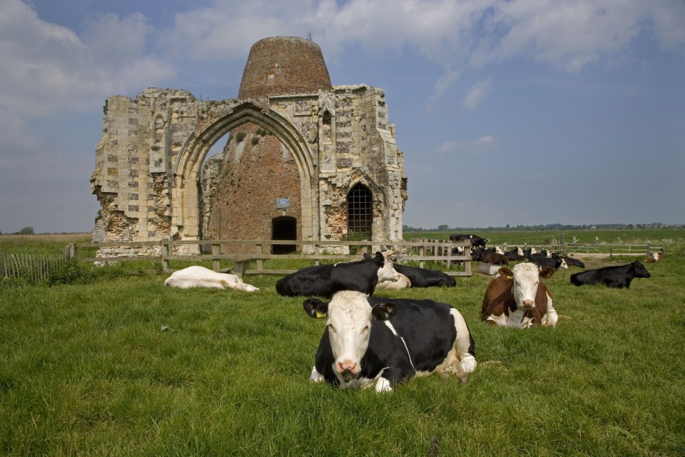 The historic ruins of St Benet's Abbey is one of the notable points of interest along the Norfolk Broads