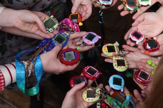 People showing each other their tamagotchi collection