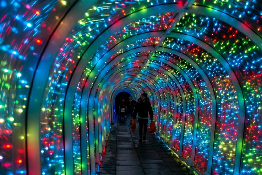 The Bude tunnel which links a Sainsbury???s store in Bude, Cornwall, to its car park has been lit up with thousands of lights. December 7, 2018. See SWNS story SWBRtunnel. Britain???s unlikeliest tourist destination has been given a festive makeover ??? and had a ceremonial switching on of its new Christmas lights. The plastic tunnel linking a Sainsbury???s store in Bude, Cornwall, to its car park has been thrilling visitors this year after unexpectedly topping TripAdvisor???s list of things to do in the seaside town. It???s racked up hundreds of comments with the majority of tongue-in-cheek reviewers rating it as ???excellent???. The 70m (230ft) tunnel has even been compared to the Sistine Chapel and the ruins of Pompeii - and is now first of 51 attractions to visit in the town.