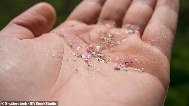 Invisible to the human eye, microplastics are plastic fragments as small as two micrometres, or two-thousandths of a millimeter