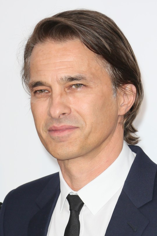 Olivier Martinez wearing a suit