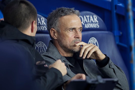 PSG boss Luis Enrique