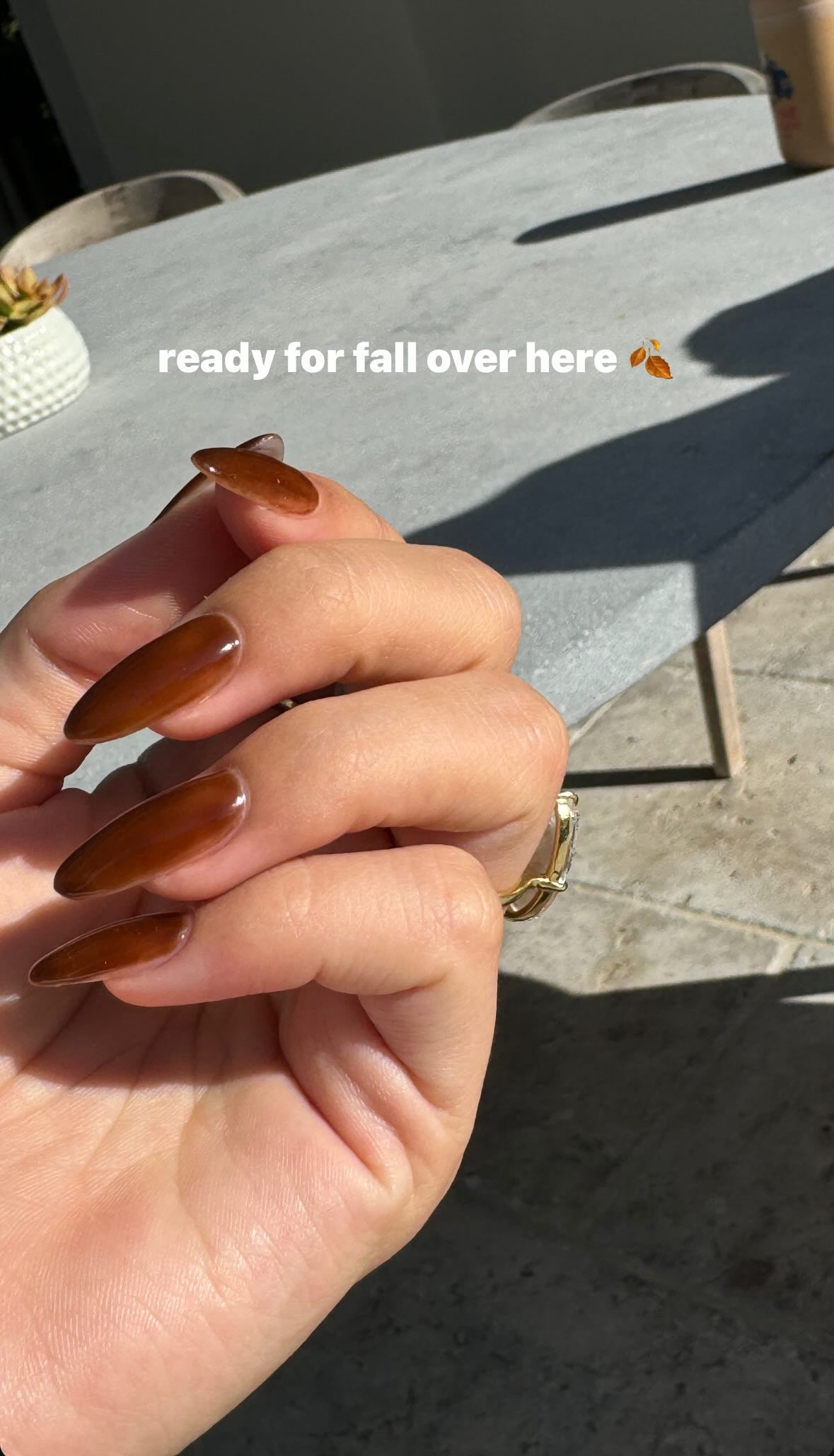 Hailey Bieber's brown manicure