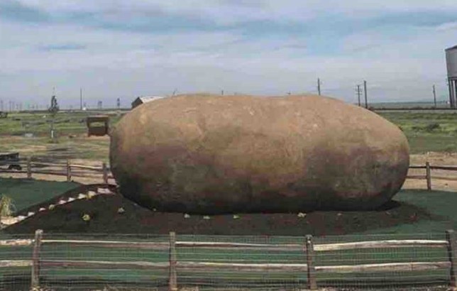 The Big Idaho Potato Hotel, which is a giant potato shaped venue situated in the middle of a field