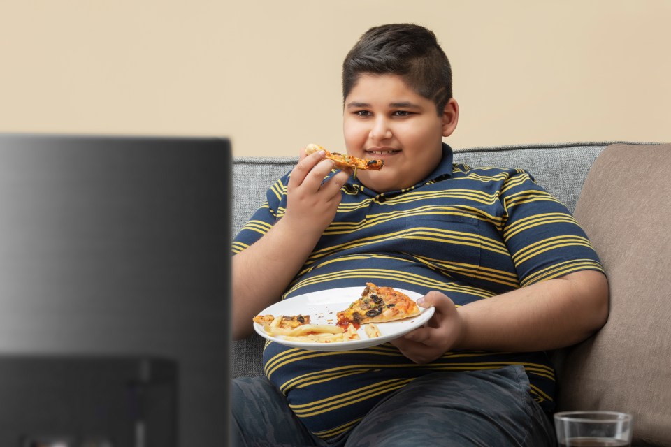 A nutritionist revealed the seven common mistakes parents make which contribute to their child's obesity (stock image)