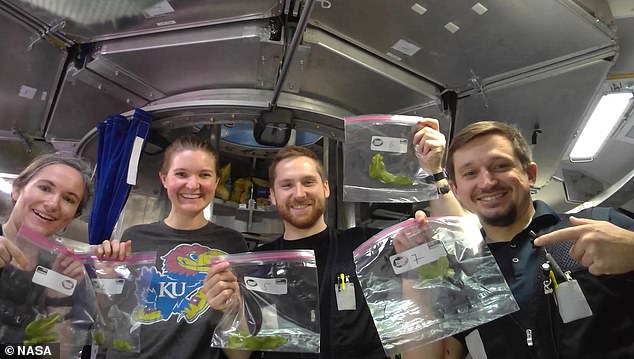 Their mission was unique in that it included the more detailed assignments designed to closely replicate the living and working experience on Mars, including growing hydroponic plants