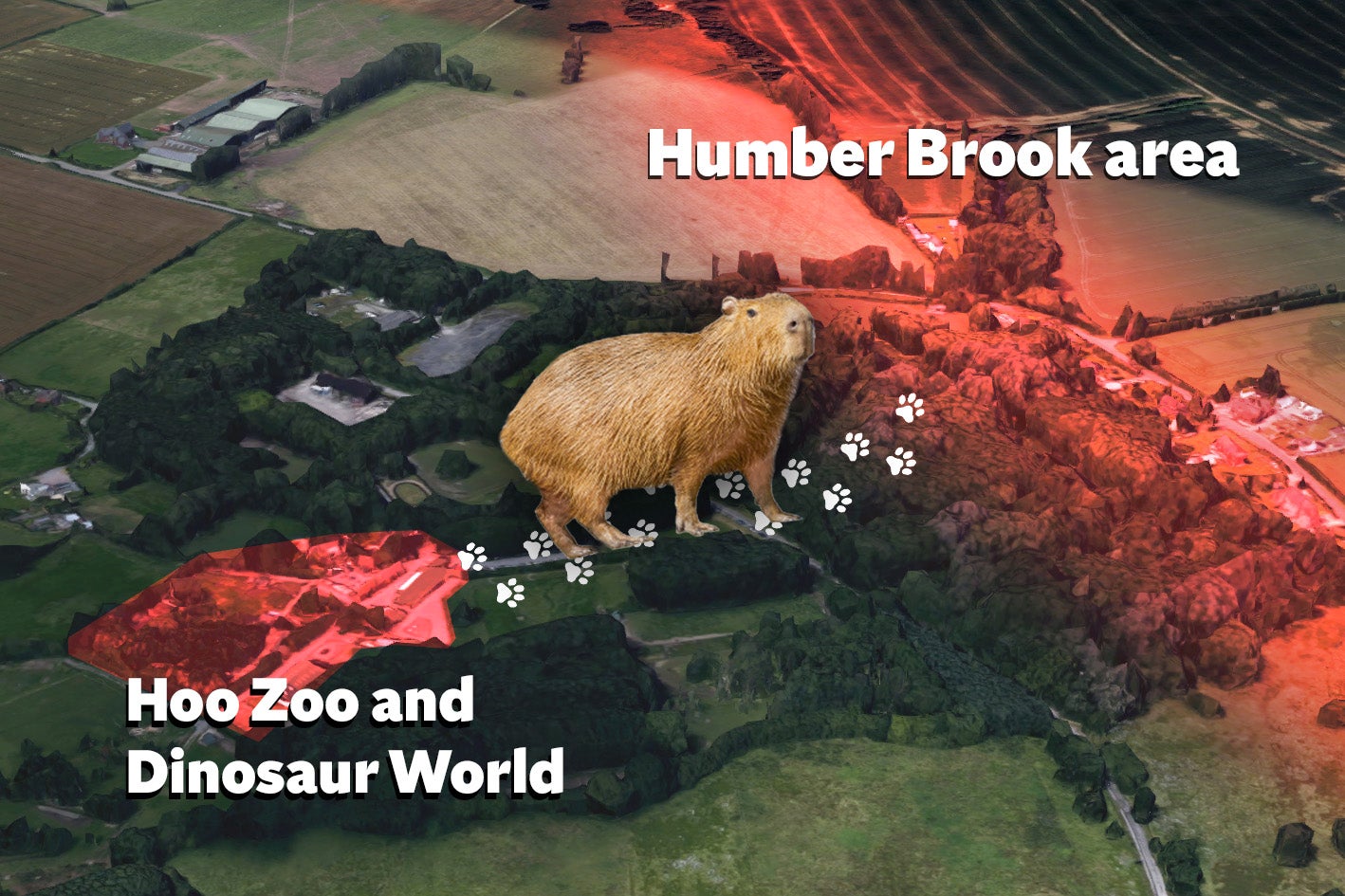 The zoo has pinpointed Humber Brook as the area where Cinnamon is most likely to be ahead of a major search